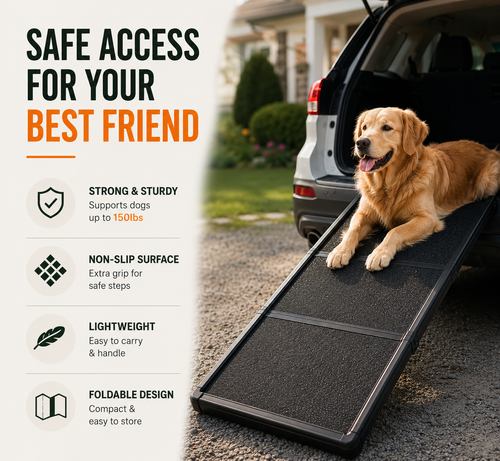 Folding Dog Vehicle Ramp