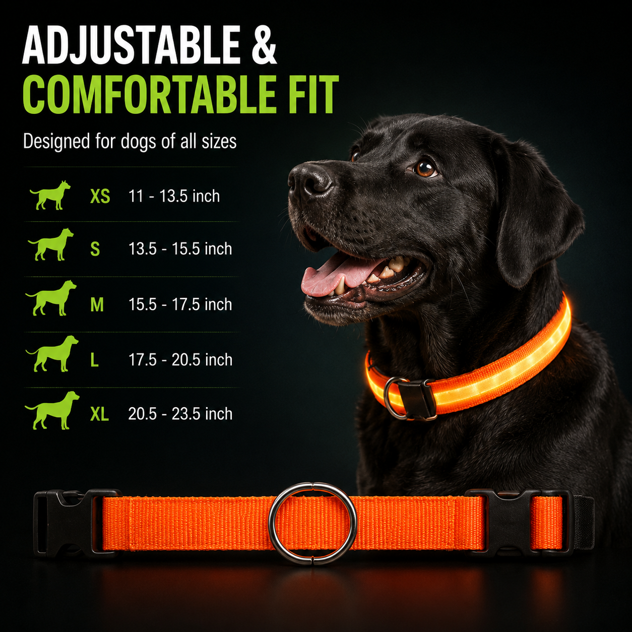 LED Dog Collar